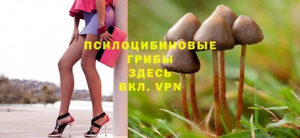 ГАЛЛЮЦИНОГЕННЫЕ ГРИБЫ Абаза