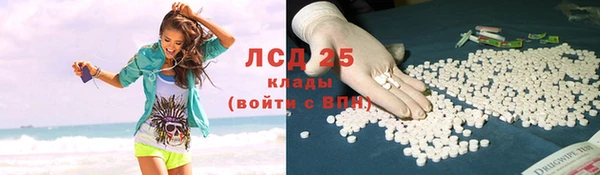 ГАЛЛЮЦИНОГЕННЫЕ ГРИБЫ Абаза