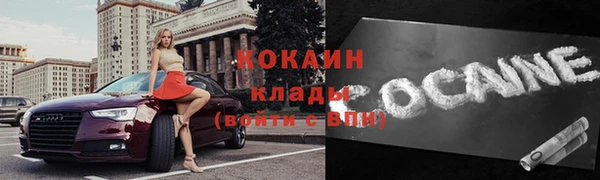 ГАЛЛЮЦИНОГЕННЫЕ ГРИБЫ Абаза
