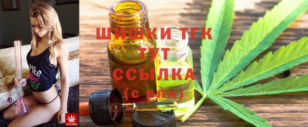 шишки Пересвет
